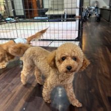 新年まであと2日！イメージ