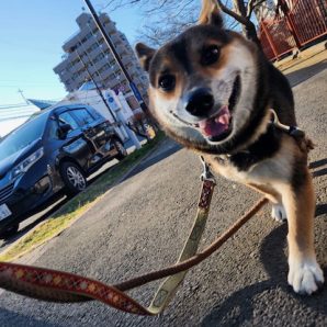 🎊あけましておめでとうございます🎍イメージ