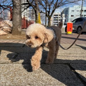 1月も張り切っていきましょう！イメージ