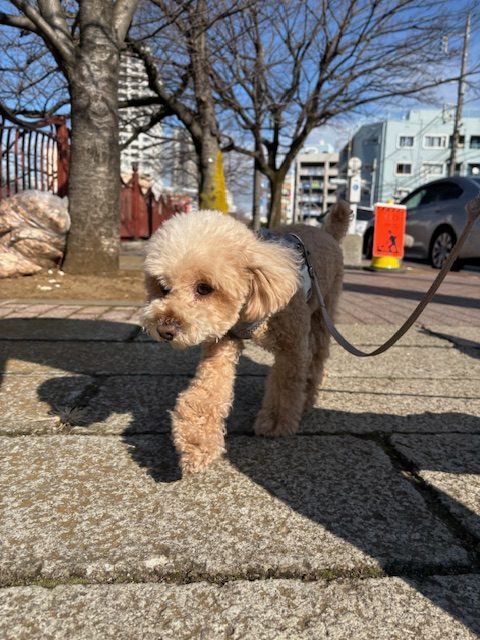 1月も張り切っていきましょう！イメージ