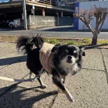 寒いです🥶イメージ