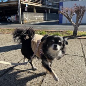 寒いです🥶イメージ