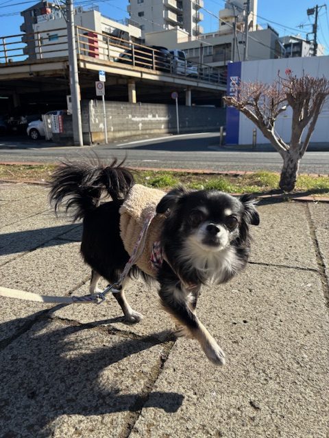 寒いです🥶イメージ