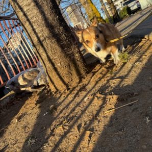風が吹いていましたが暖かめな日でした！イメージ