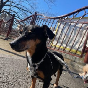 いいお天気でした(*^▽^*)イメージ