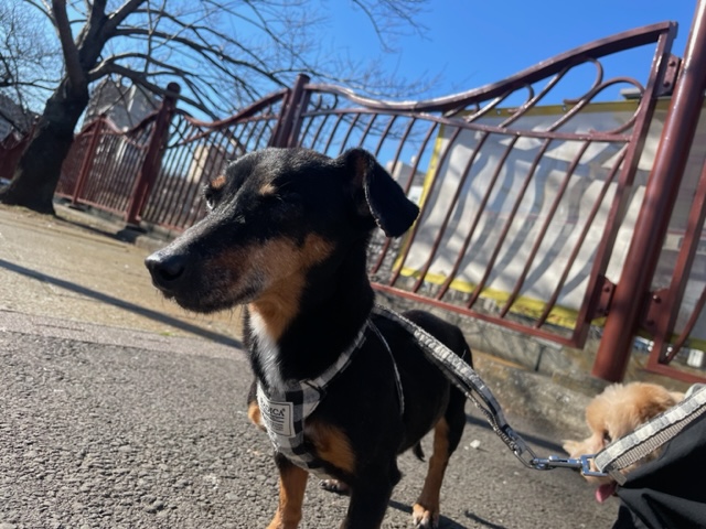 いいお天気でした(*^▽^*)イメージ