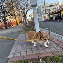 暖かめな日でした！(≧▽≦)イメージ