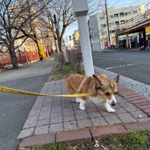 暖かめな日でした！(≧▽≦)イメージ
