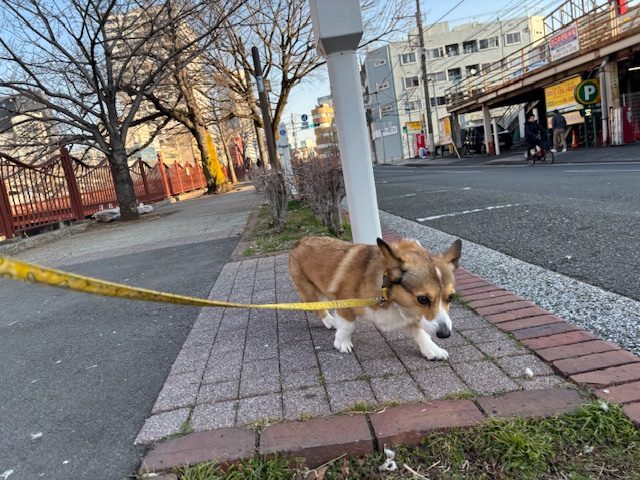 暖かめな日でした！(≧▽≦)イメージ