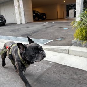 1月も半ばになりました…！イメージ