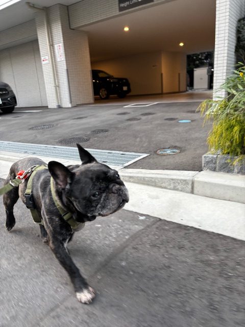 1月も半ばになりました…！イメージ