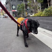 今日は一瞬雪が降りました！⛄イメージ