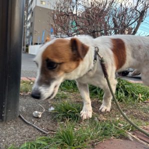 日差しが気持ちいですね☼イメージ