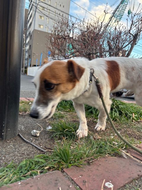 日差しが気持ちいですね☼イメージ