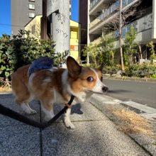 みんなのびのび過ごしています!(^^)!イメージ