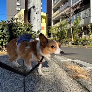 みんなのびのび過ごしています!(^^)!イメージ