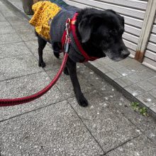 風が冷たいです🥶イメージ