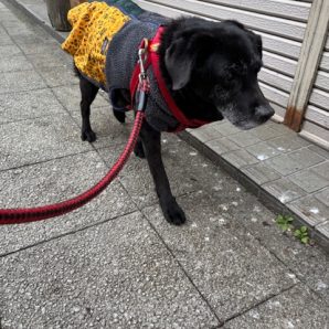 風が冷たいです🥶イメージ