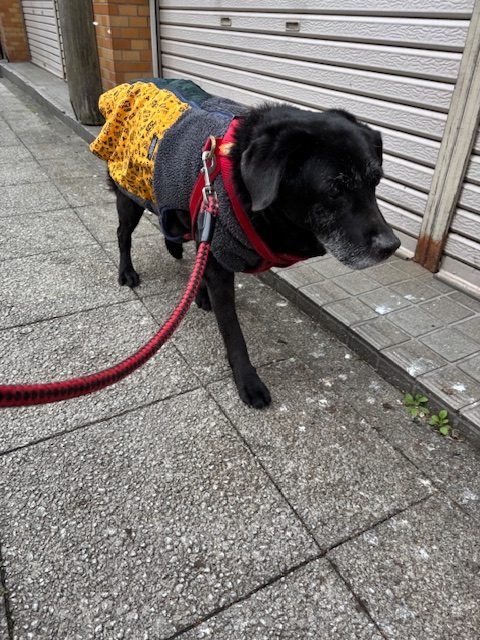 風が冷たいです🥶イメージ