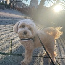 年始も終盤ですね～～イメージ