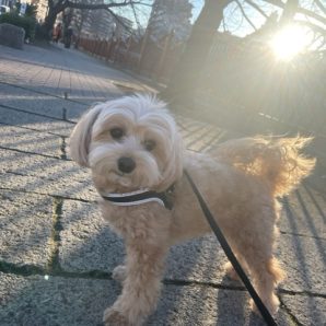 年始も終盤ですね～～イメージ