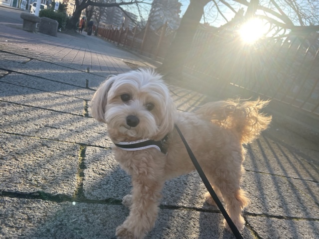 年始も終盤ですね～～イメージ