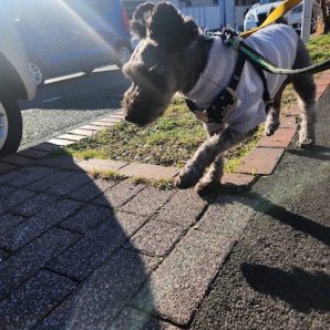 1月も本格的にスタートです！イメージ