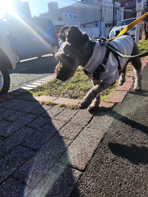 1月も本格的にスタートです！イメージ