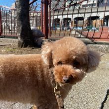 冷たい風が吹いています(>_<)イメージ