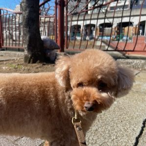 冷たい風が吹いています(>_<)イメージ