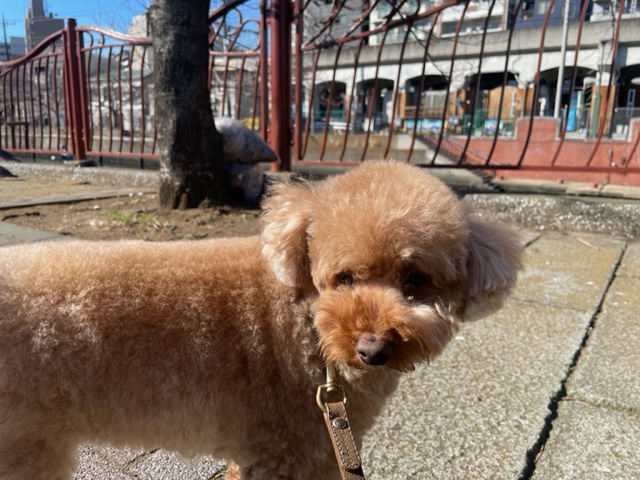 冷たい風が吹いています(>_<)イメージ