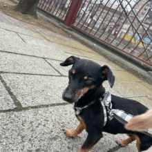 みんなのんびりと過ごしていました～！イメージ