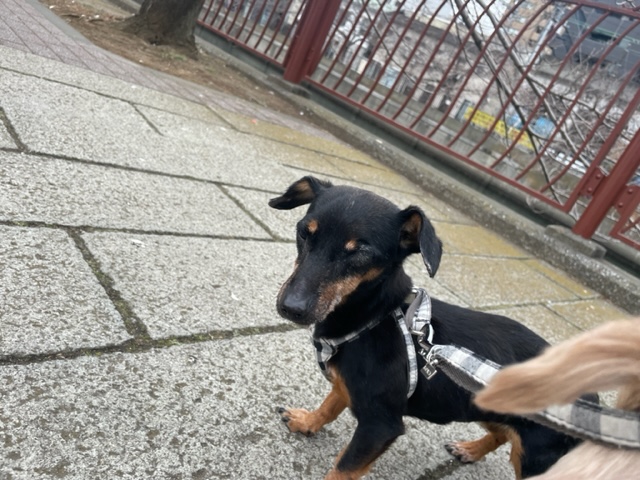 みんなのんびりと過ごしていました～！イメージ