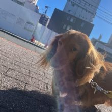 いいお天気でした♪イメージ