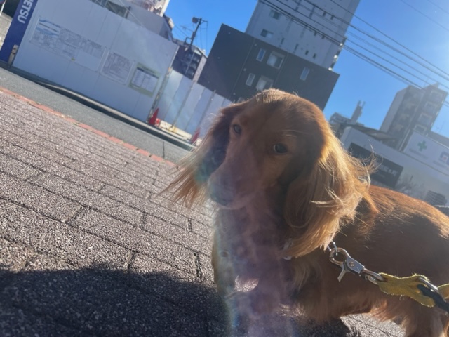 いいお天気でした♪イメージ