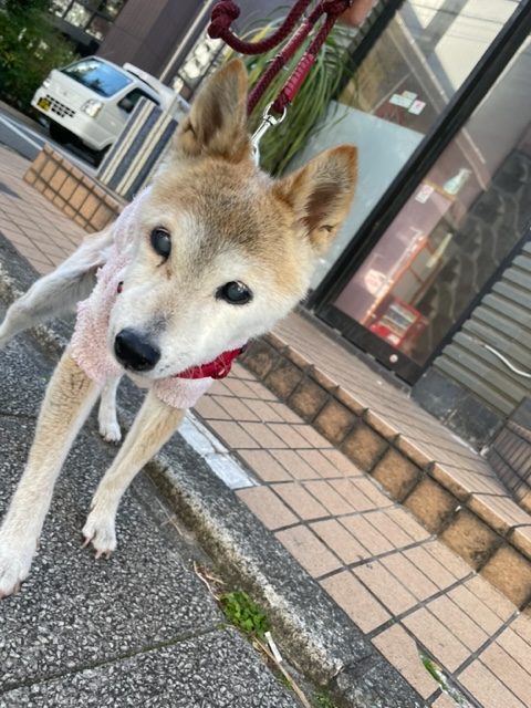 店内フリーのお友達が多い一日です！イメージ