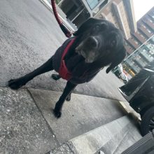 一月も中旬です！イメージ