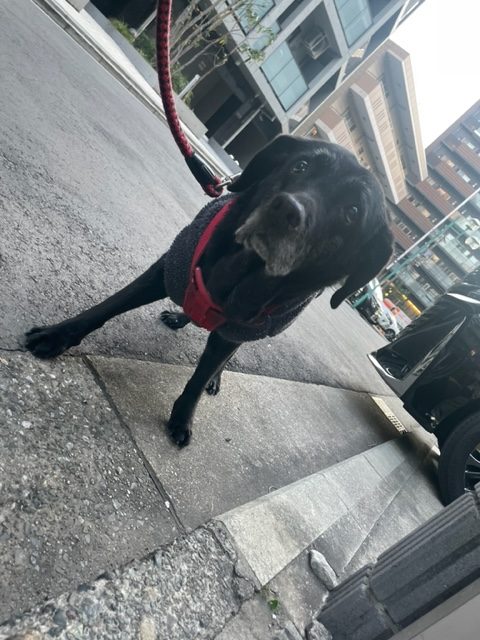 一月も中旬です！イメージ