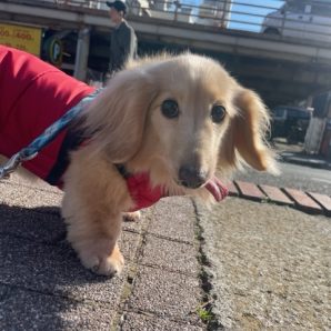 暖かい1日でした♪イメージ