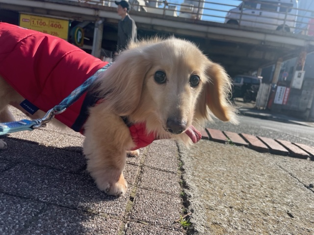 暖かい1日でした♪イメージ