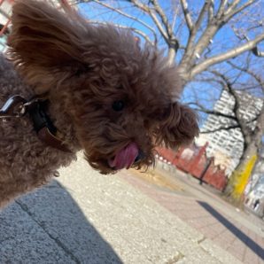 みんなのんびりと過ごしていました(＾◇＾)イメージ