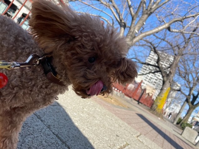 みんなのんびりと過ごしていました(＾◇＾)イメージ