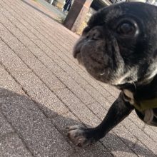 いいお天気です☀イメージ