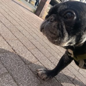 いいお天気です☀イメージ