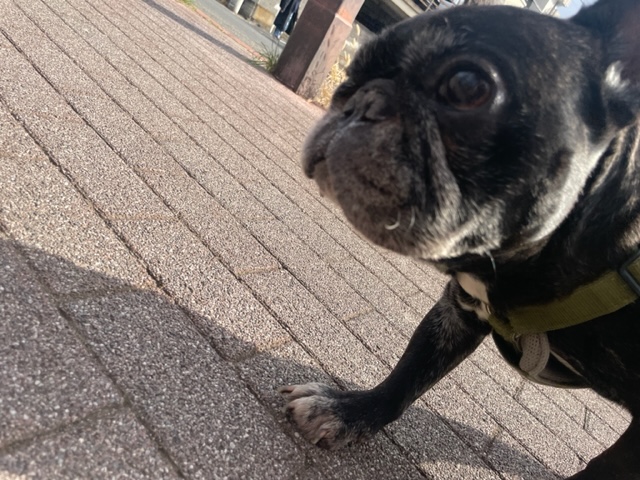 いいお天気です☀イメージ