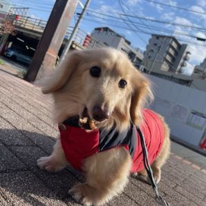 一月下旬スタートです！イメージ