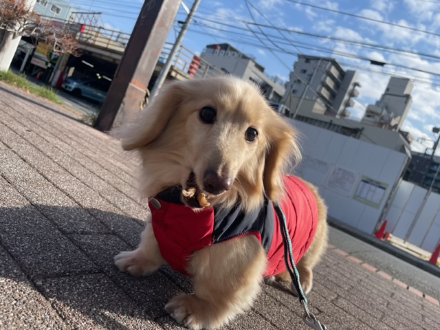 一月下旬スタートです！イメージ