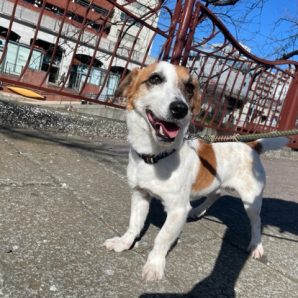 暖かい1日でした♪イメージ