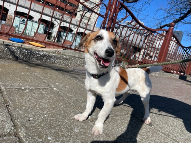 暖かい1日でした♪イメージ