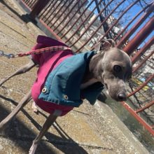 みんな元気いっぱいです～♫イメージ